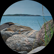 Informasjon