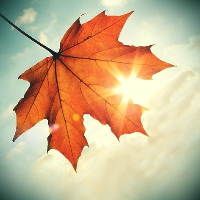 Hege Maria Helle Torgersen