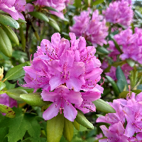 Turid Mathisen Wegger