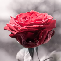 Åse Marie Kristiansen