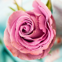 Reidun Margareth Svensen